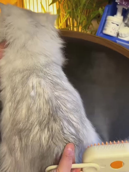 Steam Brush for Dog/Cat